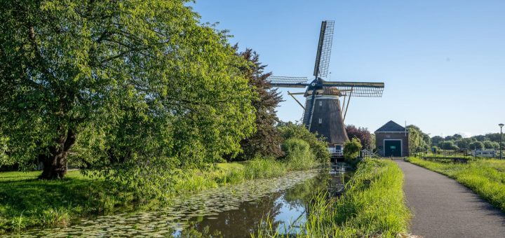 przewozy busami do holandii